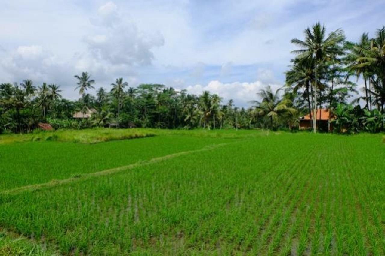 Kubu Jamu Hotel Ubud  Exterior photo